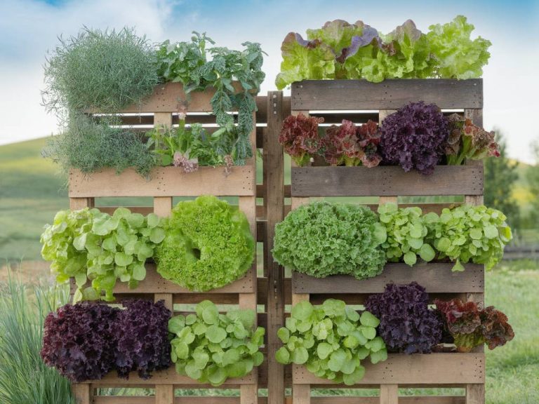 Créer un potager vertical : astuces et conseils pour gagner de l’espace dans votre jardin